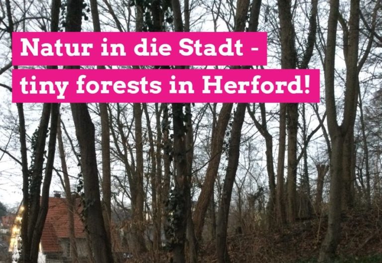 GRÜNE wollen mehr Grün in der Stadt/“Errichtung von Miniwäldern – tiny forests – auch in Herford prüfen“
