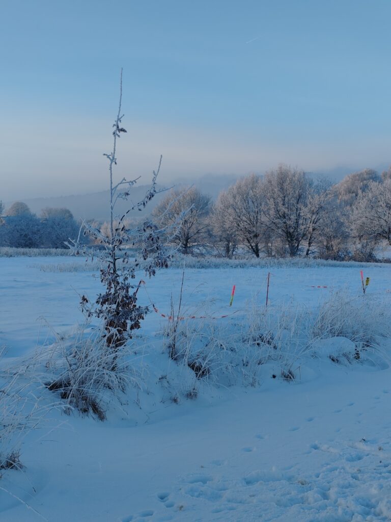 2026 – ein gutes neues Jahr!