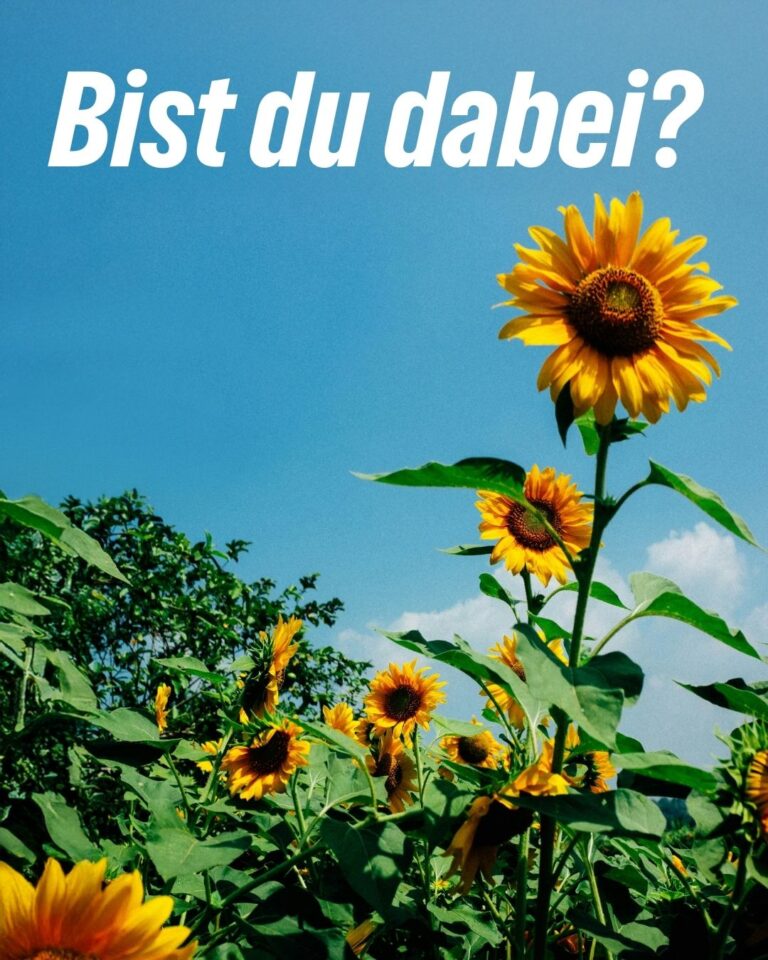 Landtagswahl 2027 – Wir suchen engagierte Mitstreiter*innen