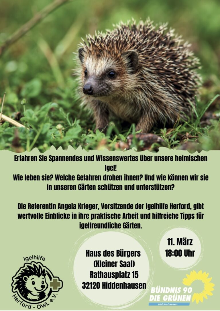 11. März: Igel in Not – wir zeigen, wie du hilfst!