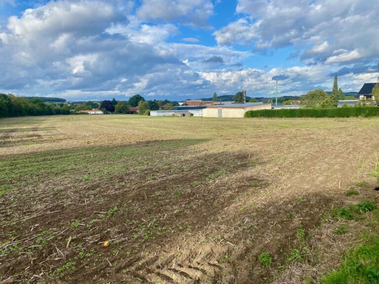 Acker soll versiegelt und ein Riesenparkplatz soll gebaut werden!?