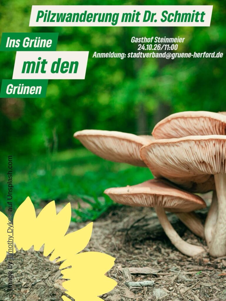 Ins grüne mit den GRÜNEN – die Welt der Pilze